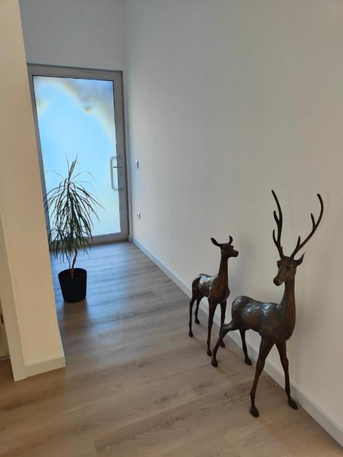 Hotel Quinta De Basto House Felgueiras Esterno foto